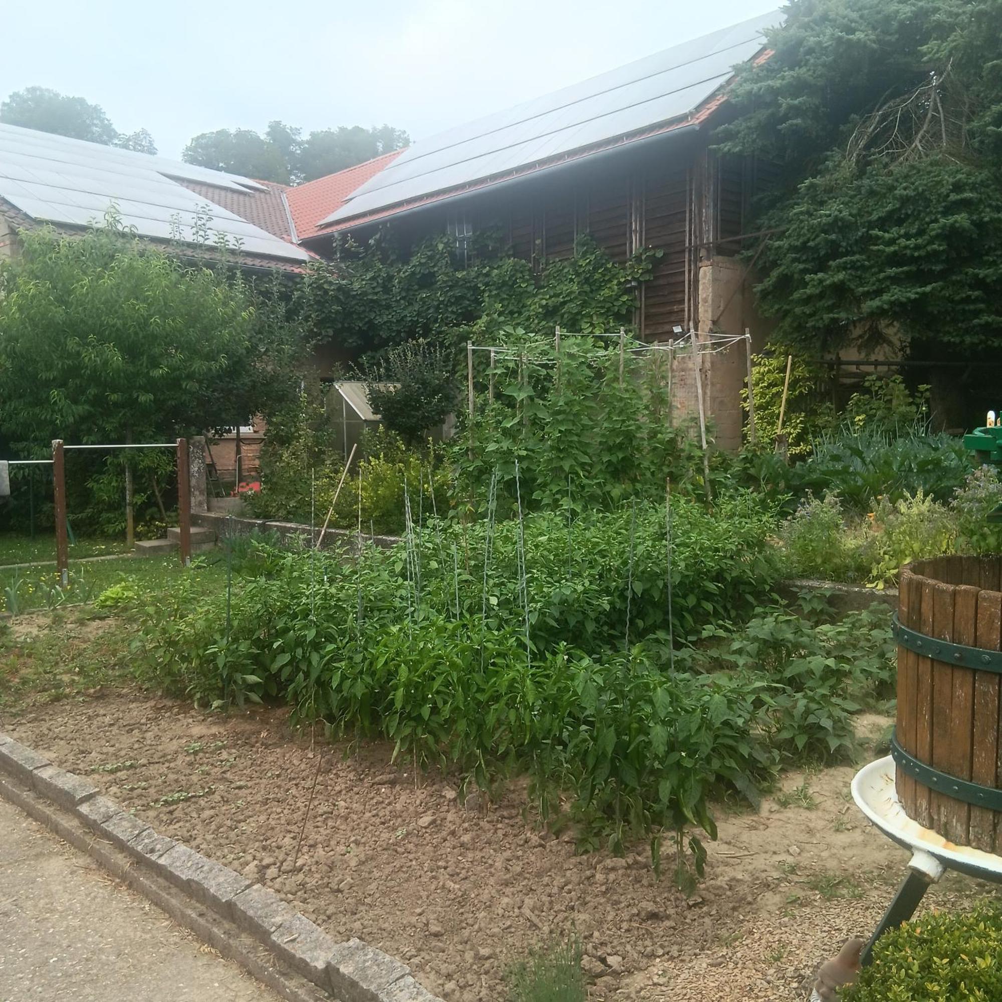 Weingut Juergen - Lutz Appartement Angelbachtal Buitenkant foto